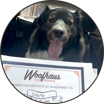 LOGAN, ACTUAL WOOFHAUS POOCH